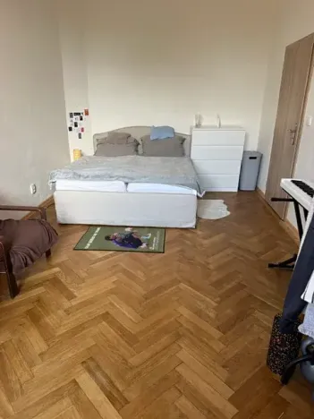 Pronájem pokoje, Brno, Sokolská, 89 m2
