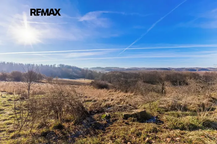 Prodej pozemku pro bydlení, Svojetín, 2831 m2