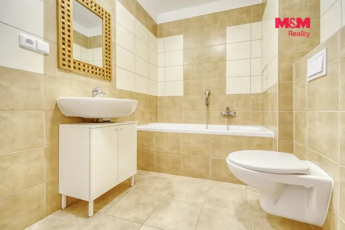 Pronájem bytu 1+kk, Plasy, U Václava, 38 m2