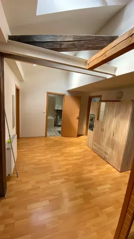 Pronájem bytu 3+kk, Brno, Jana Uhra, 136 m2