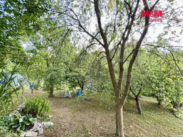 Prodej zahrady, Letohrad, 535 m2