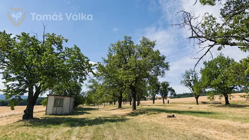 Prodej sadu/vinice, Troubky-Zdislavice, 19632 m2