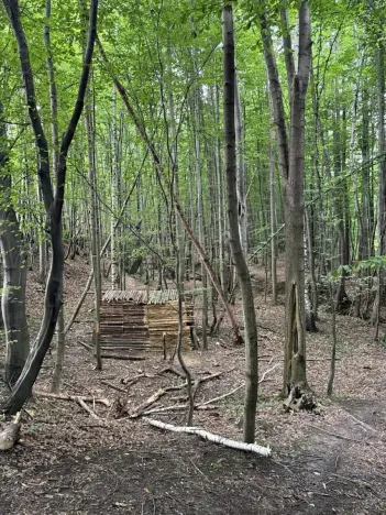 Prodej lesa, Frýdlant nad Ostravicí, 27036 m2
