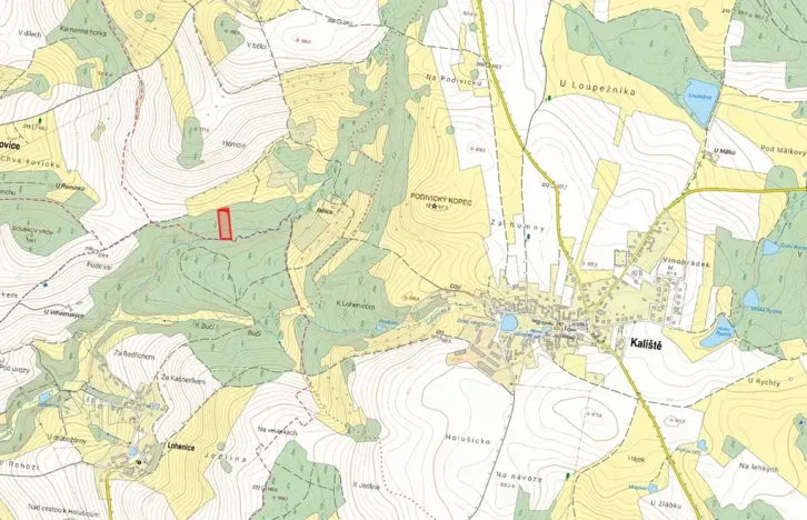 Prodej lesa, Kaliště, 5121 m2