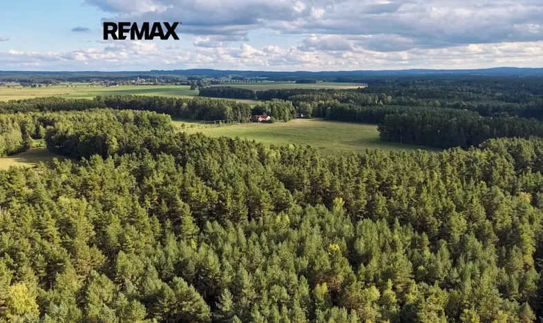 Prodej pozemku pro bydlení, Suchdol nad Lužnicí, 1001 m2