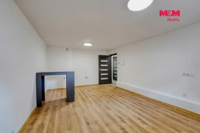 Prodej bytu 1+kk, Plzeň - Východní Předměstí, Ořechová, 26 m2