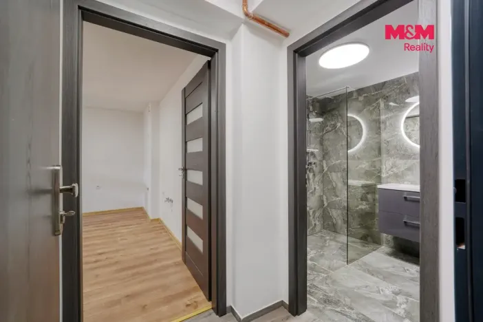 Prodej bytu 1+kk, Plzeň - Východní Předměstí, Ořechová, 26 m2