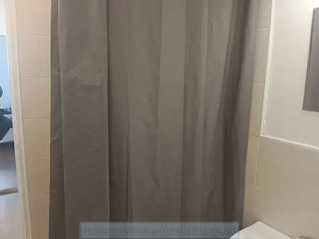 Pronájem bytu 1+kk, Přerov, 35 m2