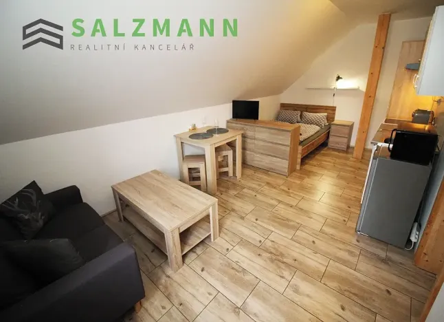Pronájem bytu 1+kk, Železná Ruda, Špičácká, 20 m2