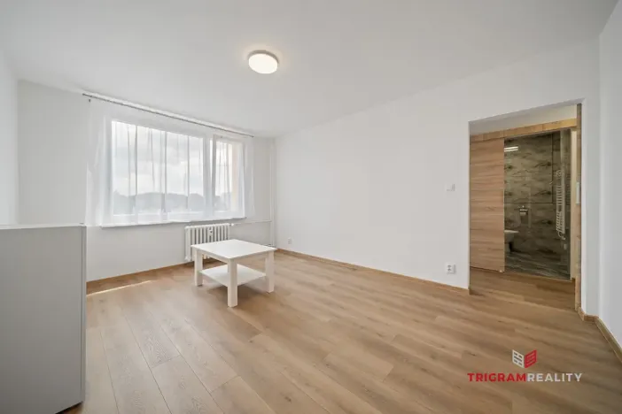 Pronájem bytu 1+1, Hradec Králové - Nový Hradec Králové, Fričova, 38 m2
