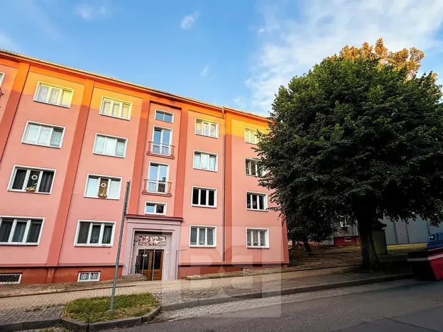 Pronájem bytu 2+1, Ostrov, S. K. Neumanna, 56 m2