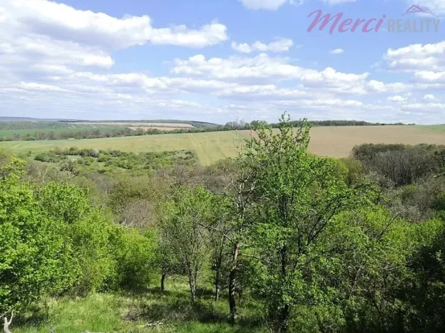 Prodej chaty, Podolí, 23 m2