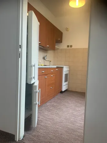 Prodej bytu 2+1, Praha, V olšinách, 45 m2