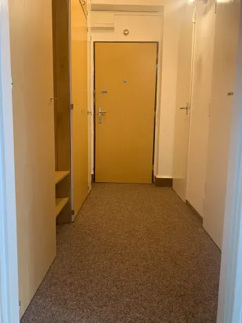 Prodej bytu 2+1, Praha, V olšinách, 45 m2