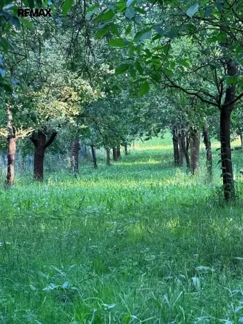 Prodej pozemku pro bydlení, Podolí, 1608 m2