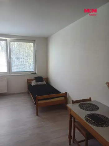 Pronájem bytu 1+kk, Týn nad Vltavou, Komenského, 20 m2