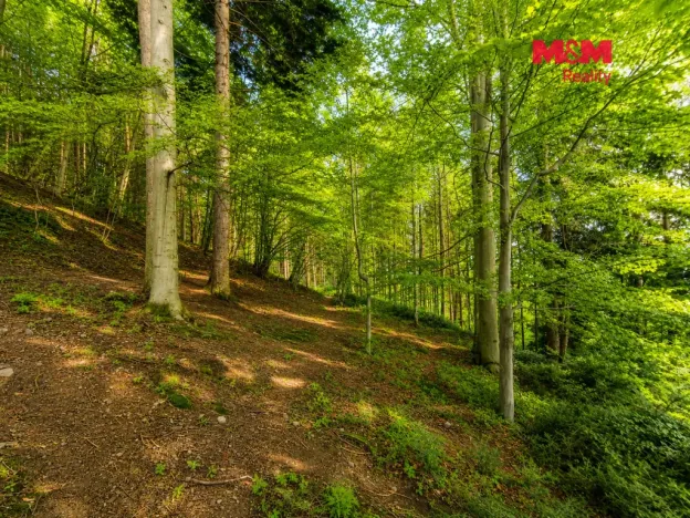 Prodej chaty, Trojanovice, 62 m2