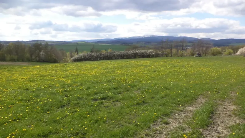 Prodej pozemku, Staré Město - Nová Véska, 10063 m2