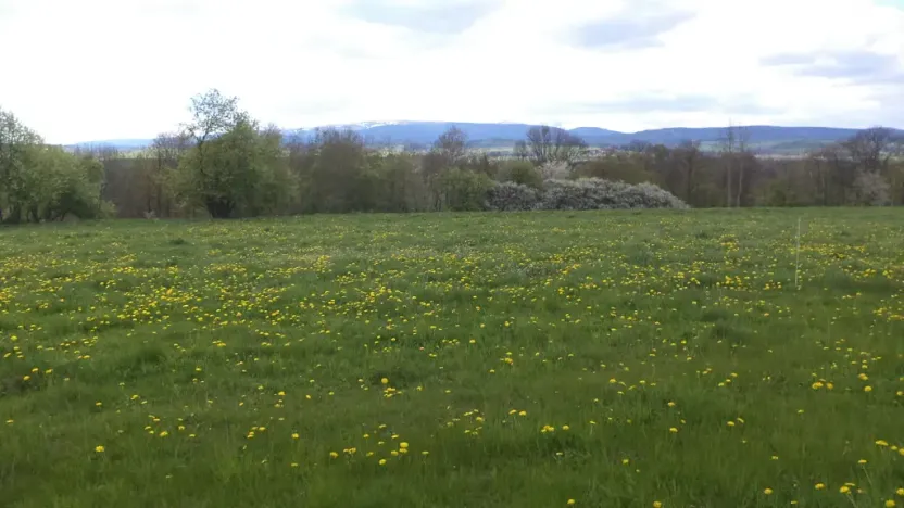 Prodej pozemku, Staré Město - Nová Véska, 10063 m2