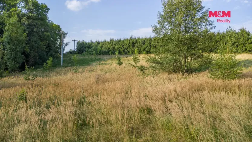 Prodej louky, Nový Bor - Janov, 5500 m2