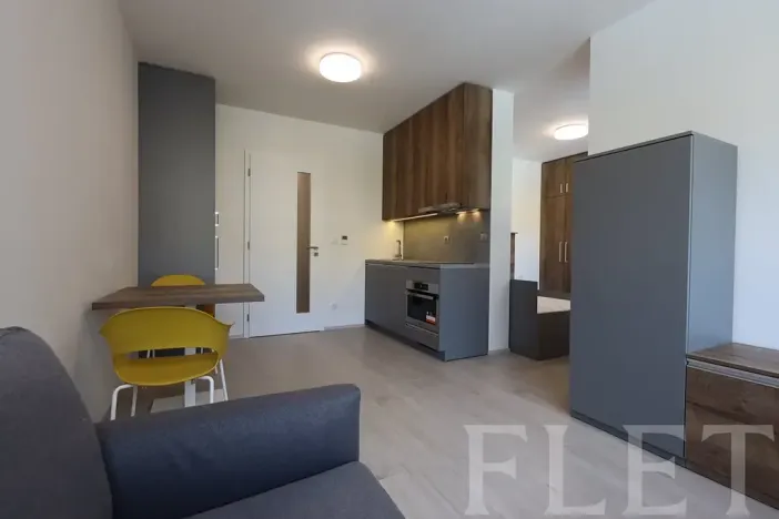 Pronájem bytu 1+kk, Praha - Holešovice, V háji, 38 m2