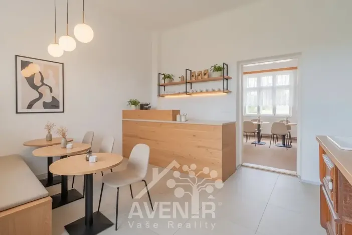 Prodej rodinného domu, Kroměříž, Žižkova, 244 m2