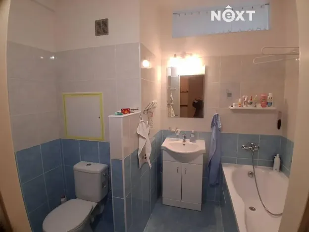 Pronájem bytu 2+1, České Budějovice, Netolická, 50 m2