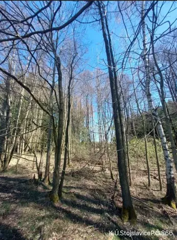 Prodej lesa, Smilovy Hory, 1726 m2