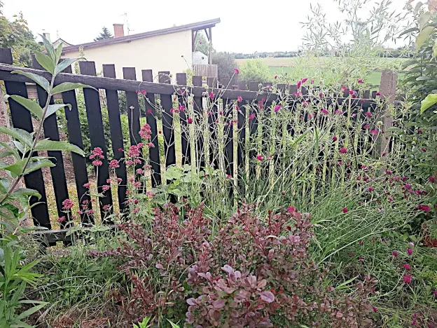 Prodej rodinného domu, Klecany, Na skalkách, 128 m2