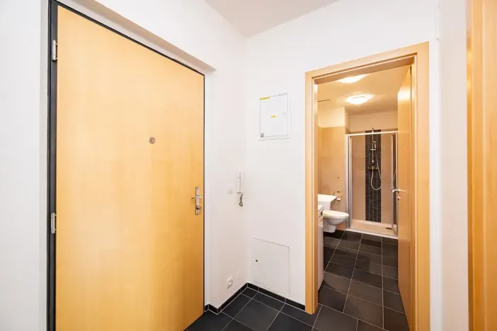 Prodej bytu 1+kk, Černošice, Mokropeská, 40 m2