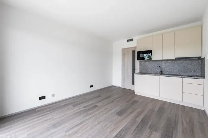 Pronájem bytu 1+kk, Praha, Na Zlíchově, 26 m2