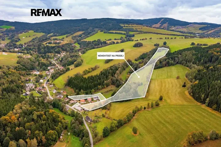 Prodej louky, Orličky, 61702 m2