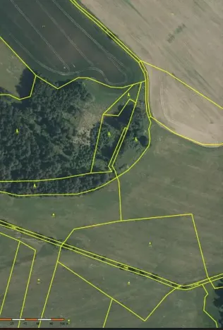 Prodej lesa, Horní Pěna, 3291 m2