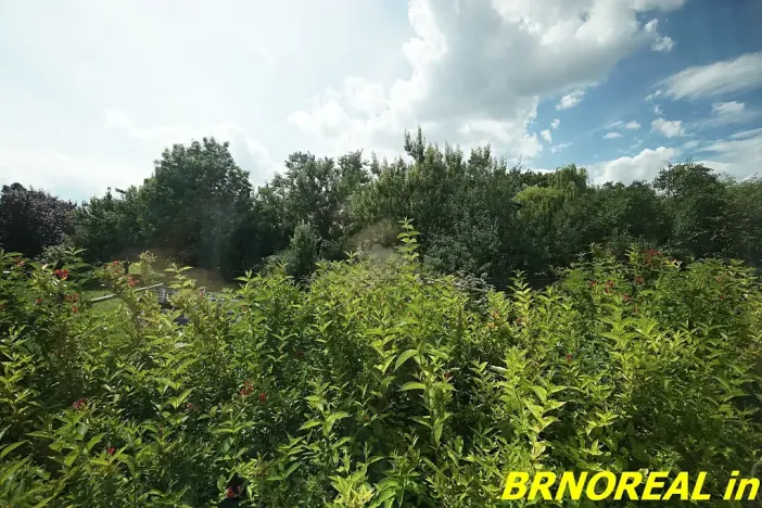 Pronájem bytu 1+1, Brno, Sibiřská, 31 m2