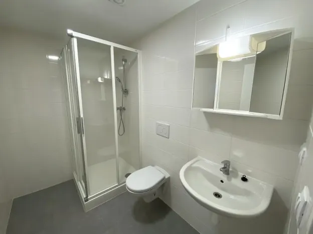 Pronájem bytu 1+kk, Brno - Maloměřice, 37 m2
