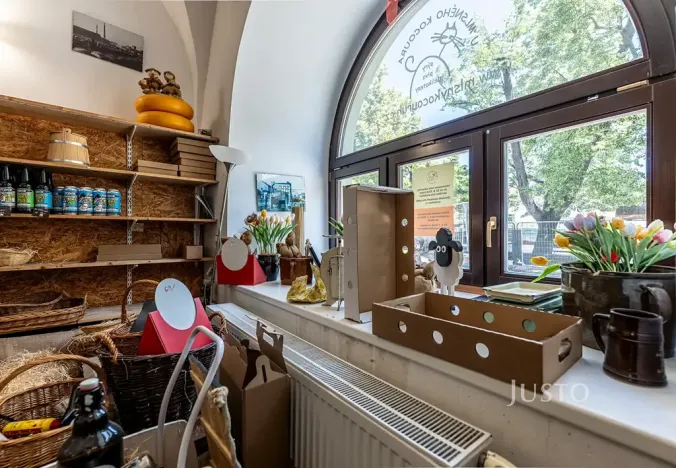 Pronájem obchodního prostoru, Uherské Hradiště, Masarykovo náměstí, 41 m2