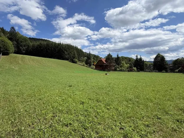 Prodej pozemku pro bydlení, Nový Hrozenkov, 8167 m2