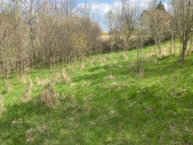 Prodej pozemku pro bydlení, Sázava, 7630 m2