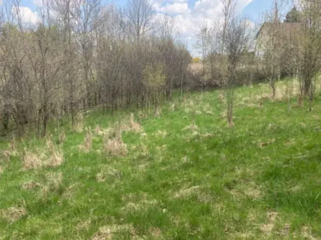 Prodej pozemku pro bydlení, Sázava, 7630 m2