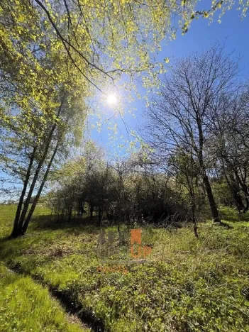 Prodej pozemku pro bydlení, Rožmitál na Šumavě, 7156 m2