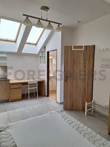 Pronájem bytu 1+kk, Olomouc, Ztracená, 20 m2