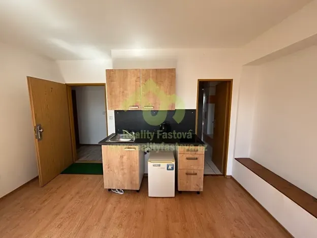 Prodej vícegeneračního domu, Plzeň, 776 m2