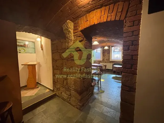 Prodej vícegeneračního domu, Plzeň, 776 m2