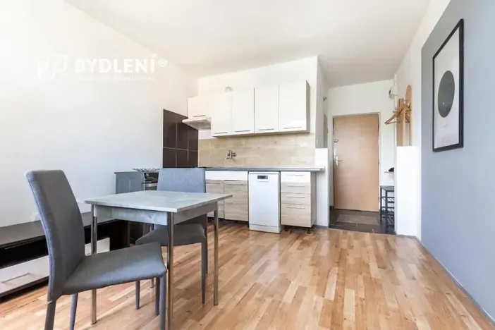 Prodej bytu 1+1, Louny, Březinova, 36 m2