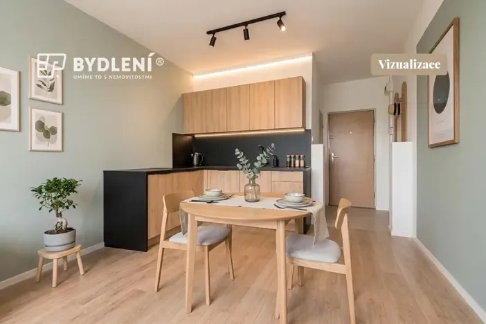 Prodej bytu 1+1, Louny, Březinova, 36 m2