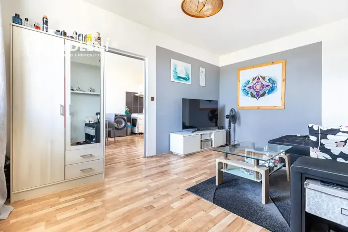 Prodej bytu 1+1, Louny, Březinova, 36 m2