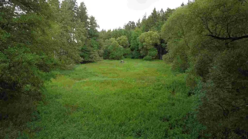 Prodej pole, Chýnov - Dobronice u Chýnova, 22334 m2