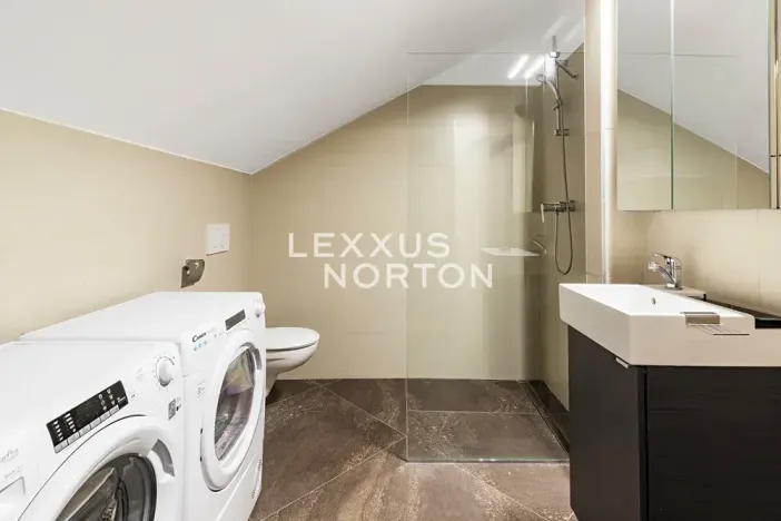 Pronájem bytu 1+kk, Praha - Bubeneč, Mlýnská, 71 m2