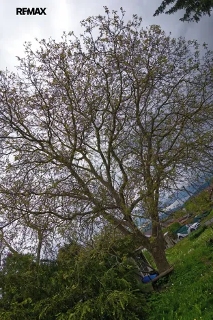 Prodej pozemku pro bydlení, Nýrsko, 829 m2