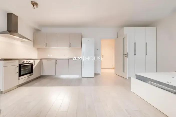 Pronájem bytu 1+kk, Praha - Karlín, Sokolovská, 38 m2